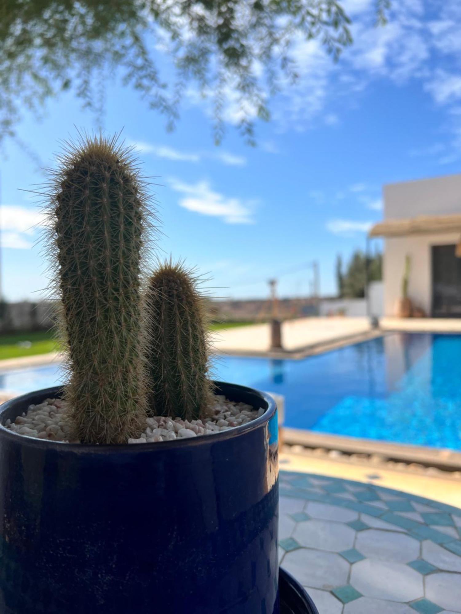 Manzar Piscine Chauffee Privatunterkunft